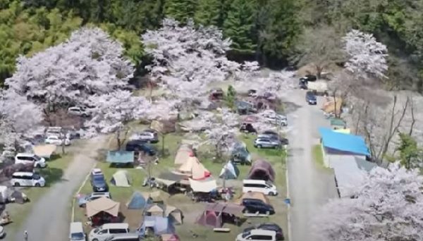 緑の休暇村　青根キャンプ場