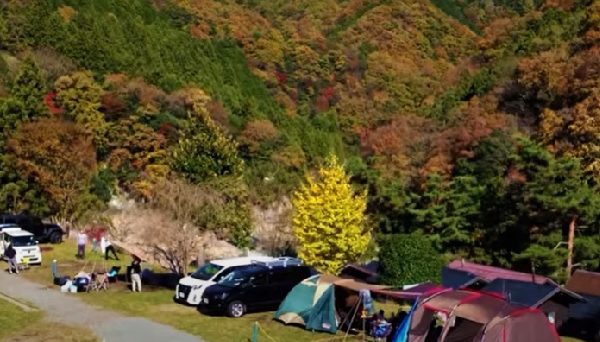 緑の休暇村　青根キャンプ場