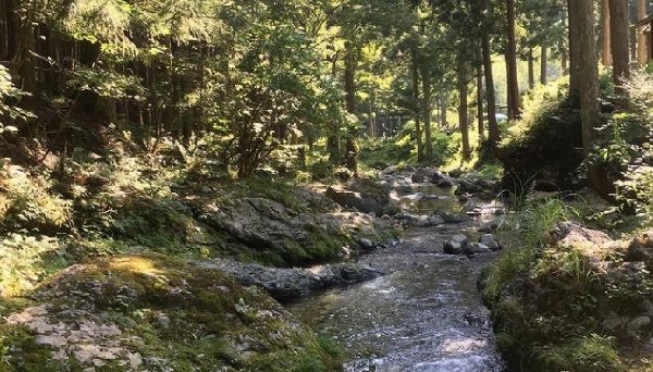 フォレスト・イン洞川キャンプ場