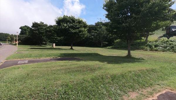 モヤヒルズ モヤヒルズ