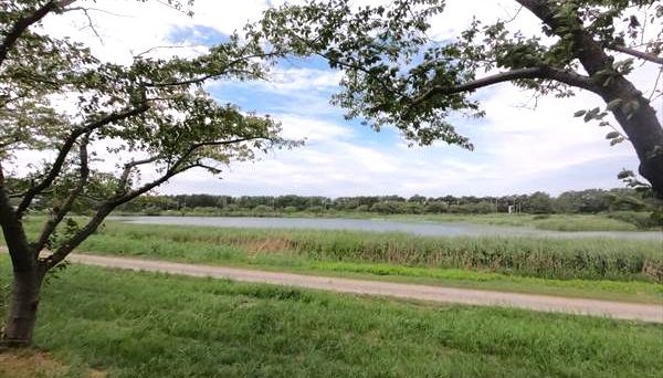 南の池公園キャンプ場