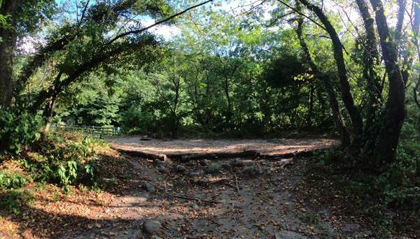 五頭山麓いこいの森キャンプ場4