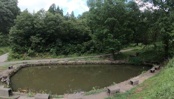 中浦ヒメサユリ森林公園キャンプ場