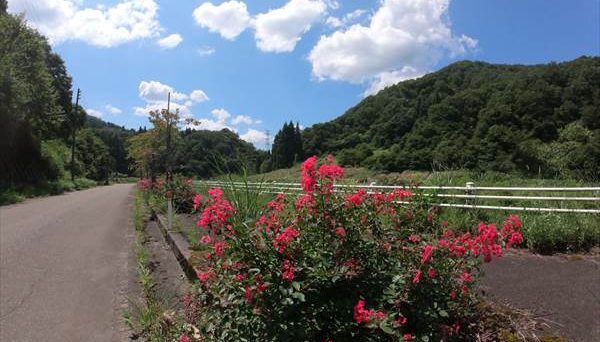 中浦ヒメサユリ森林公園キャンプ場