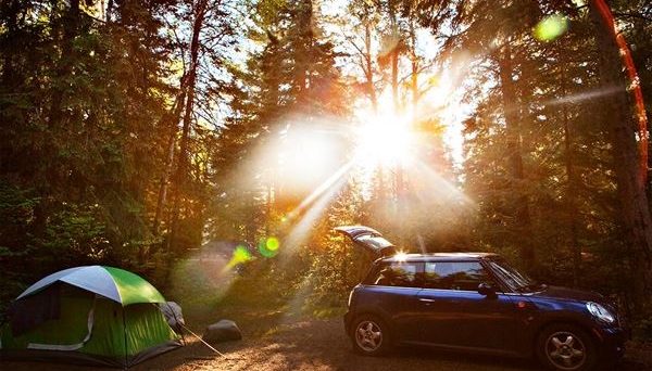 NESTA NATURE CAMP FIELD