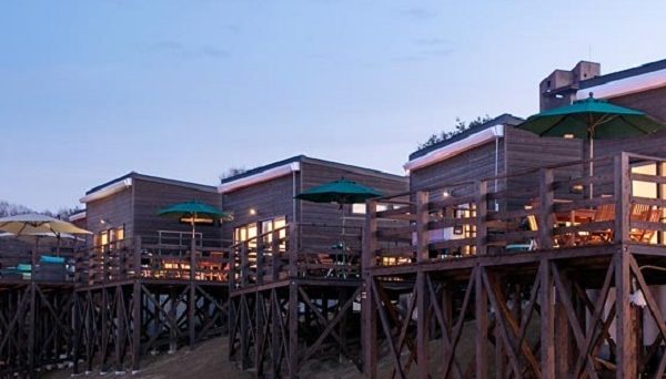 NESTA NATURE CAMP FIELD