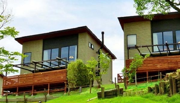 NESTA NATURE CAMP FIELD