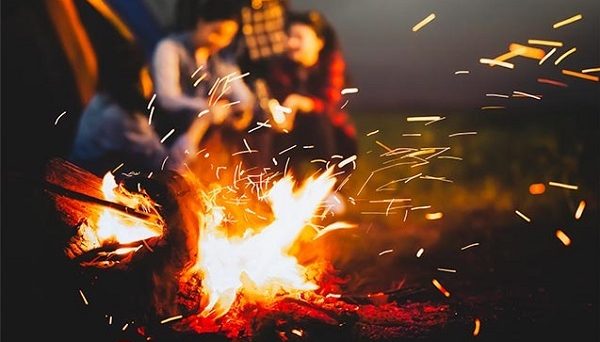 NESTA NATURE CAMP FIELD