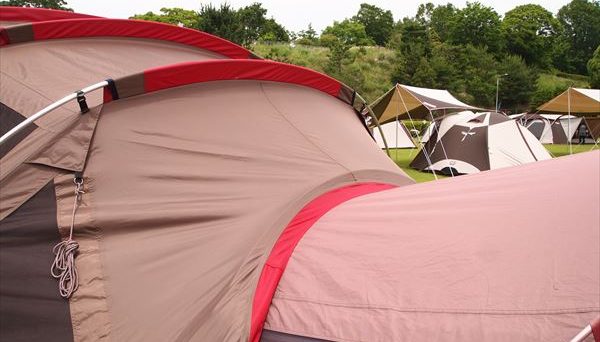 リビングシェルロング