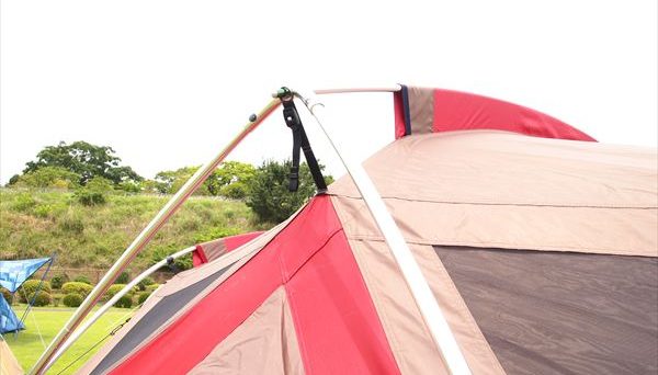 リビングシェルロング