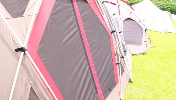 リビングシェルロング