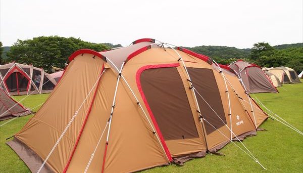 トルテュライト トルテュライト