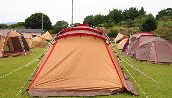 トルテュライト トルテュライト