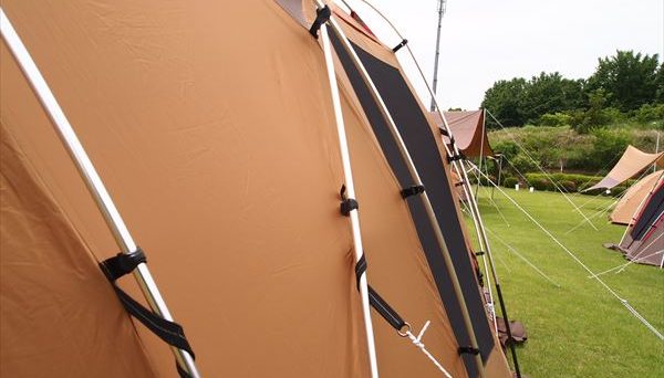 トルテュライト トルテュライト