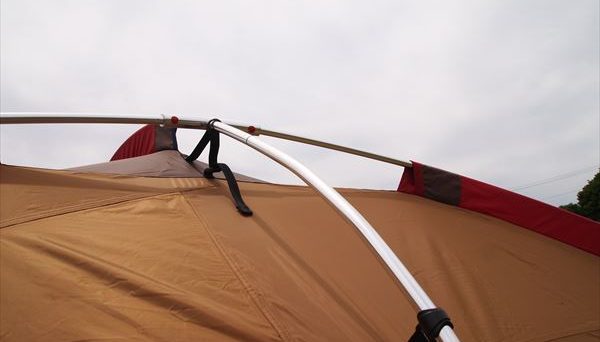 トルテュライト トルテュライト