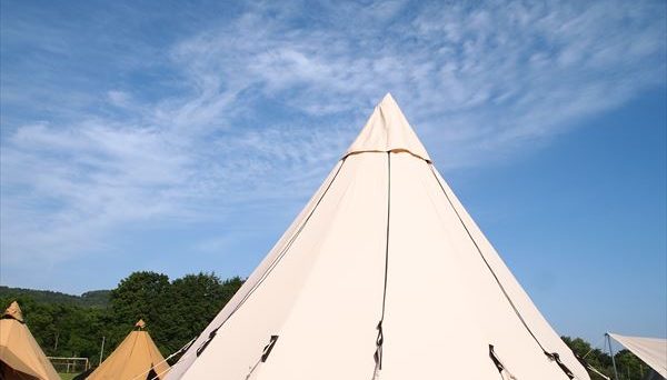 アルヘイム19.6 アルヘイム19.6