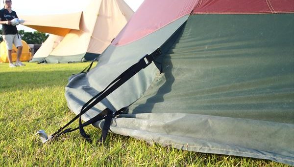 ジルコン9ライト