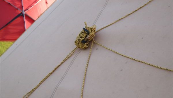 サファイア15CP サファイア15CP