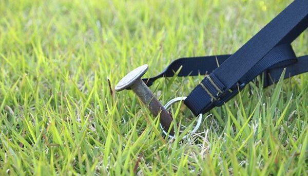 ジルコンフレックス