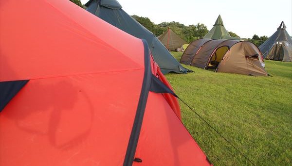 ウィグロ LT4 レッド