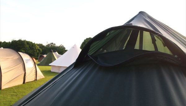 ウィグロLT4 グリーン