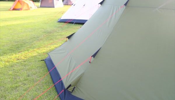 フィールドステーション