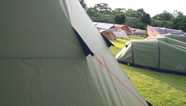 フィールドステーション