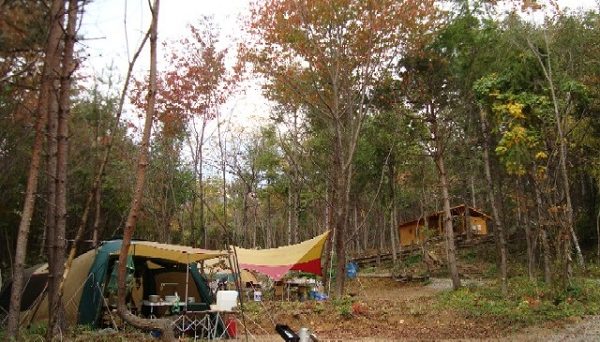 あさまの森オートキャンプ場