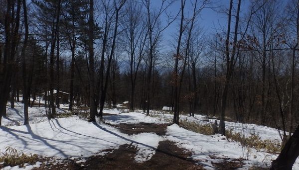 あさまの森オートキャンプ場