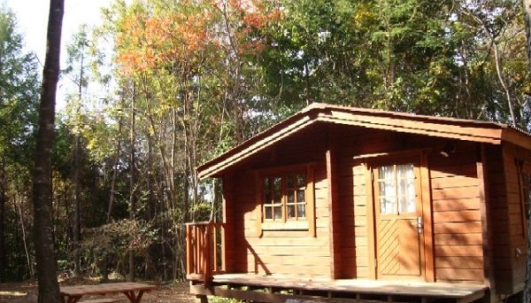 あさまの森オートキャンプ場