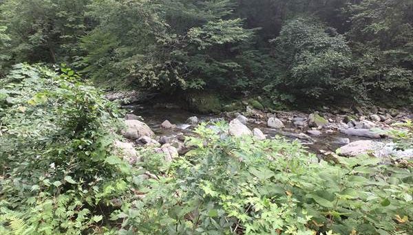 くるみ台キャンプ場