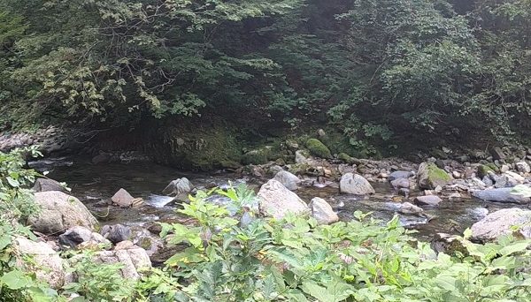 くるみ台キャンプ場