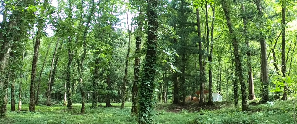 くるみ台キャンプ場