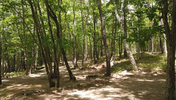 みずがき山森の農園キャンプ場 みずがき山森の農園キャンプ場