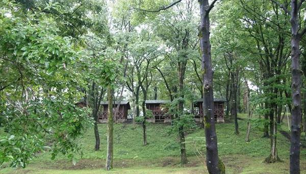 みどりの村キャンプ場