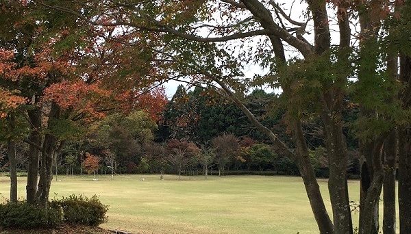 やまぼうしオートキャンプ場