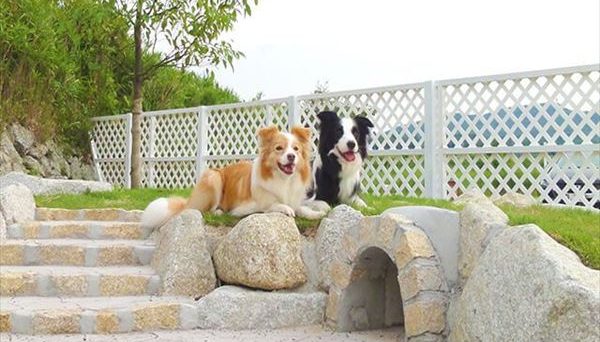 伊勢志摩エバーグレイス 伊勢志摩エバーグレイス