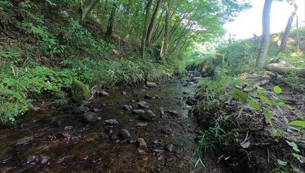 キャンプアイリー