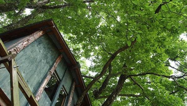 ツリーハウスおだぎりガーデン