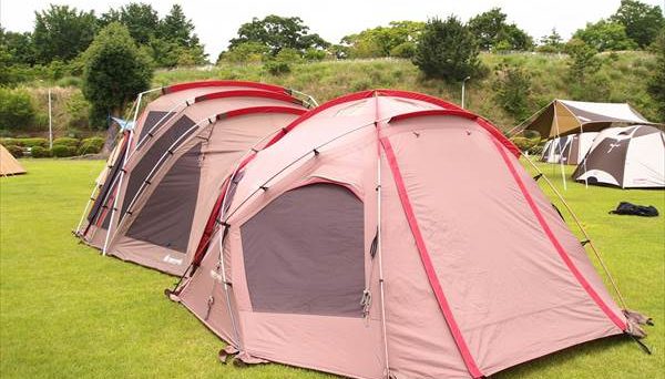 ドックドームPro6