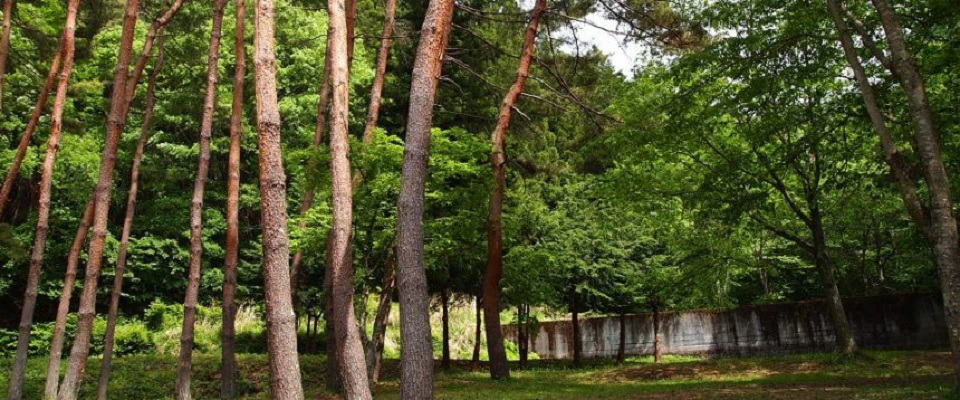 ハーブの里オートキャンプ場