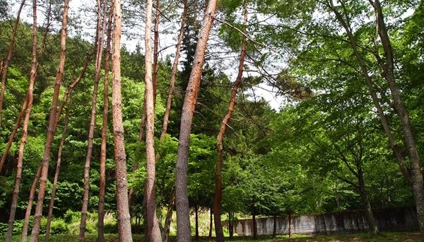 ハーブの里オートキャンプ場