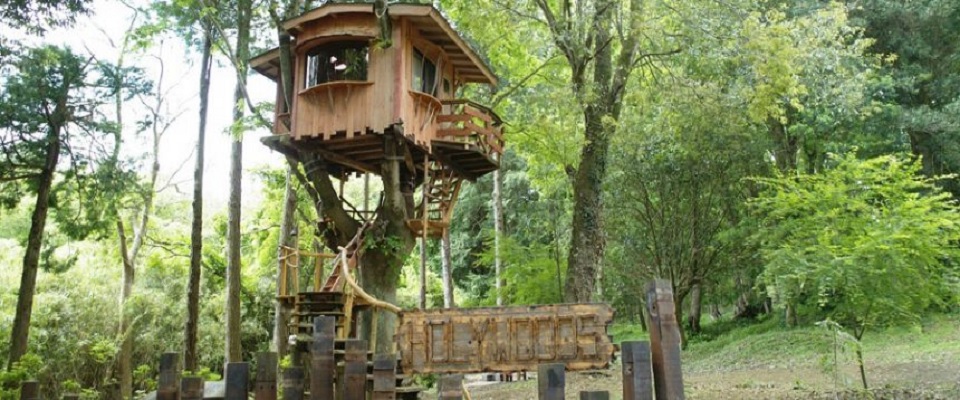 ホウリーウッズ久留里キャンプ村