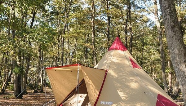 ホウリーウッズ久留里キャンプ村