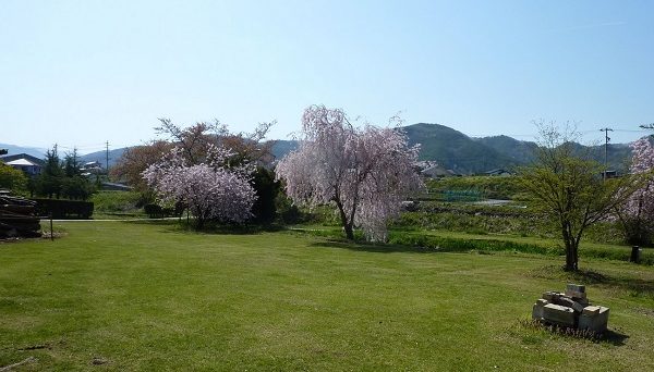 ミノワリバーサイドオートキャンプ場