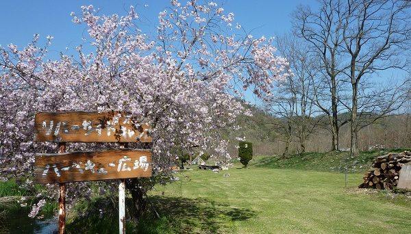 ミノワリバーサイドオートキャンプ場