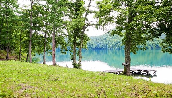 ライジングフィールド白馬