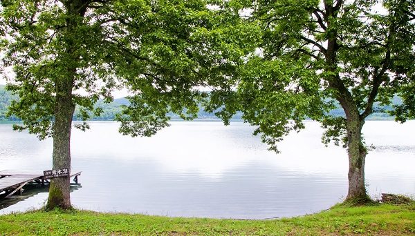 ライジングフィールド白馬