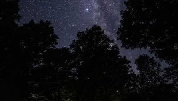 一向平キャンプ場