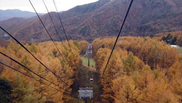 丸沼高原CAMPING VALLEY